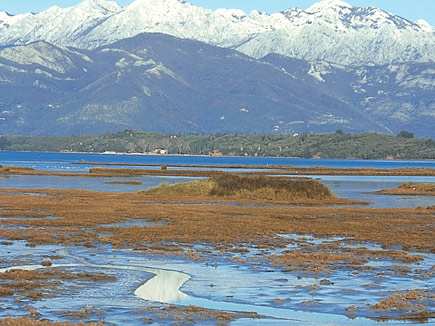 Oase für Zugvögel: die Saline Tivat in Montenegro.