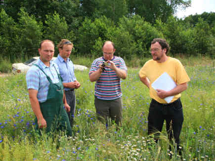 Vier Männer in einem Feld mit Mischfruchtanbau für die Energieproduktion.