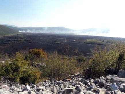 Burnt land and smoke