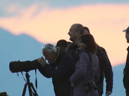 Participiant with a spyglass counting waterbirds