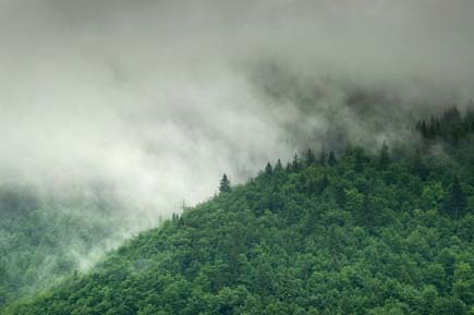 Bewaldete Berggipfel in den Wolken