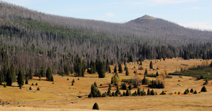 View of the National Park Šumava, in the background: Mount Lusen in the adjacent Bavarian Forest National Park