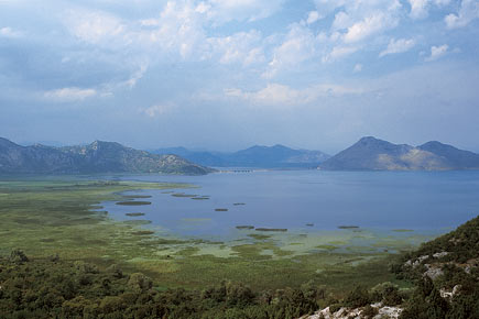 Skutari-See im Skutari-Nationalpark in Montenegro
