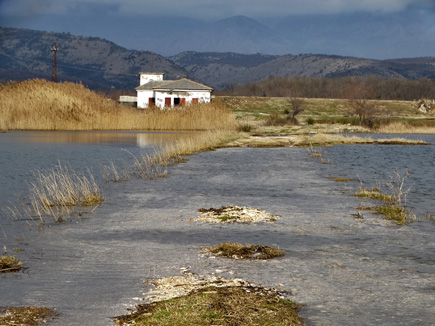 Blick von den Salzfeldern der Saline Ulcinj auf das bergige Hinterland