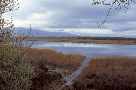 Reservat Velipoja in Albanien