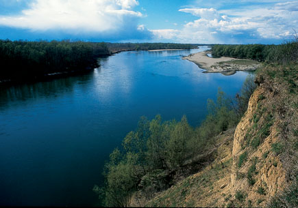 Ein naturbelassener Flussabschnitt in der Donau-Drau-Region