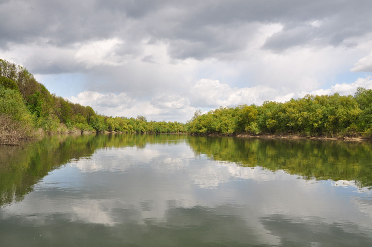 View over the Sava with forests on both banks.