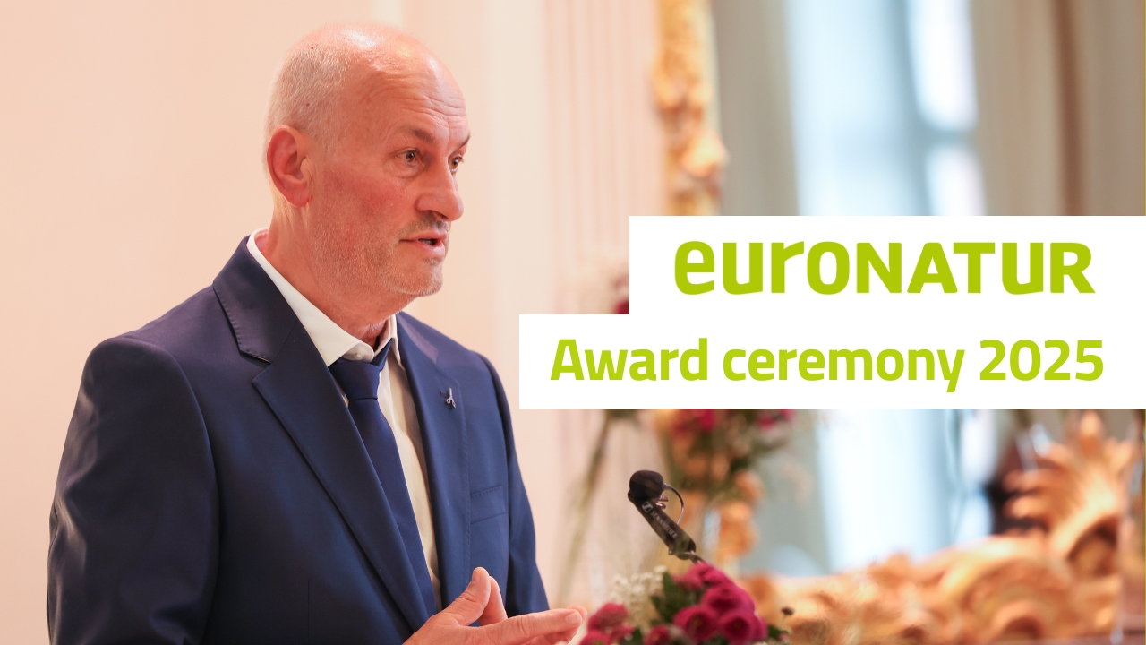 Video of the award ceremony on Mainau island