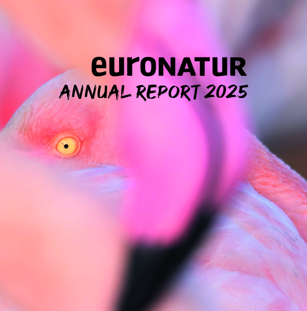 Title of the EuroNatur annual report 2025