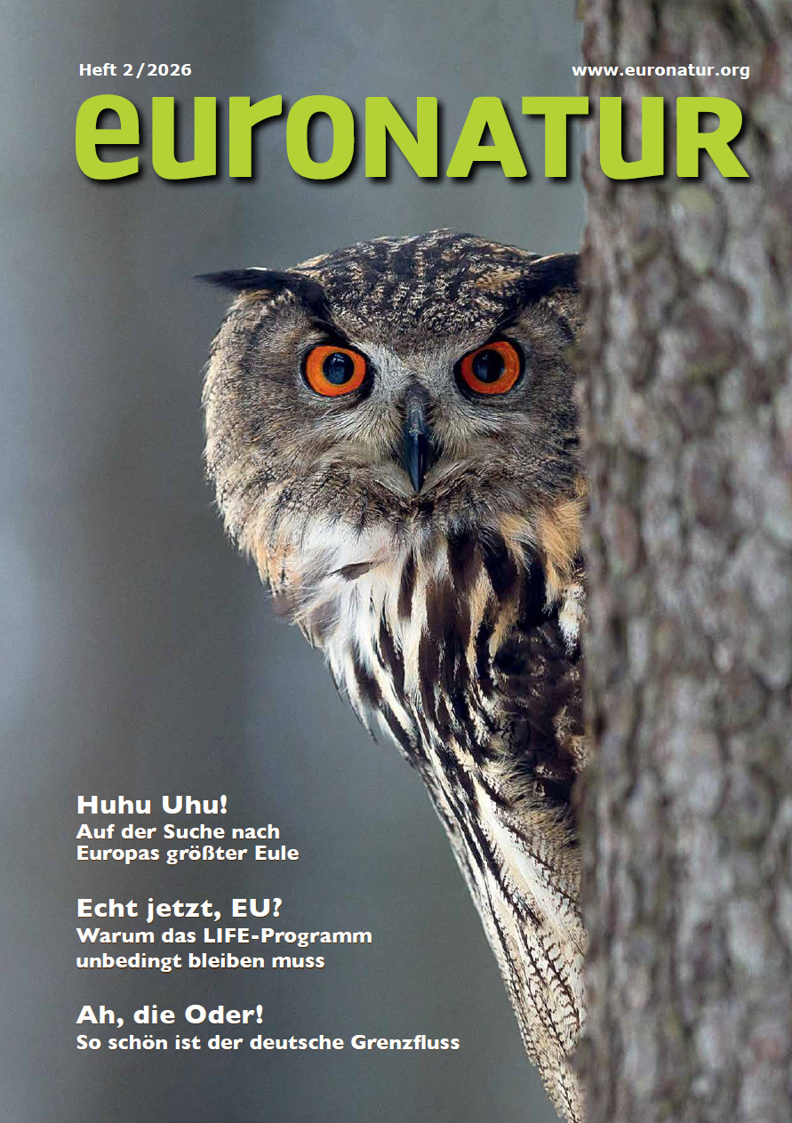 Titelbild des EuroNatur-Magazin 2026/2 mit Uhu