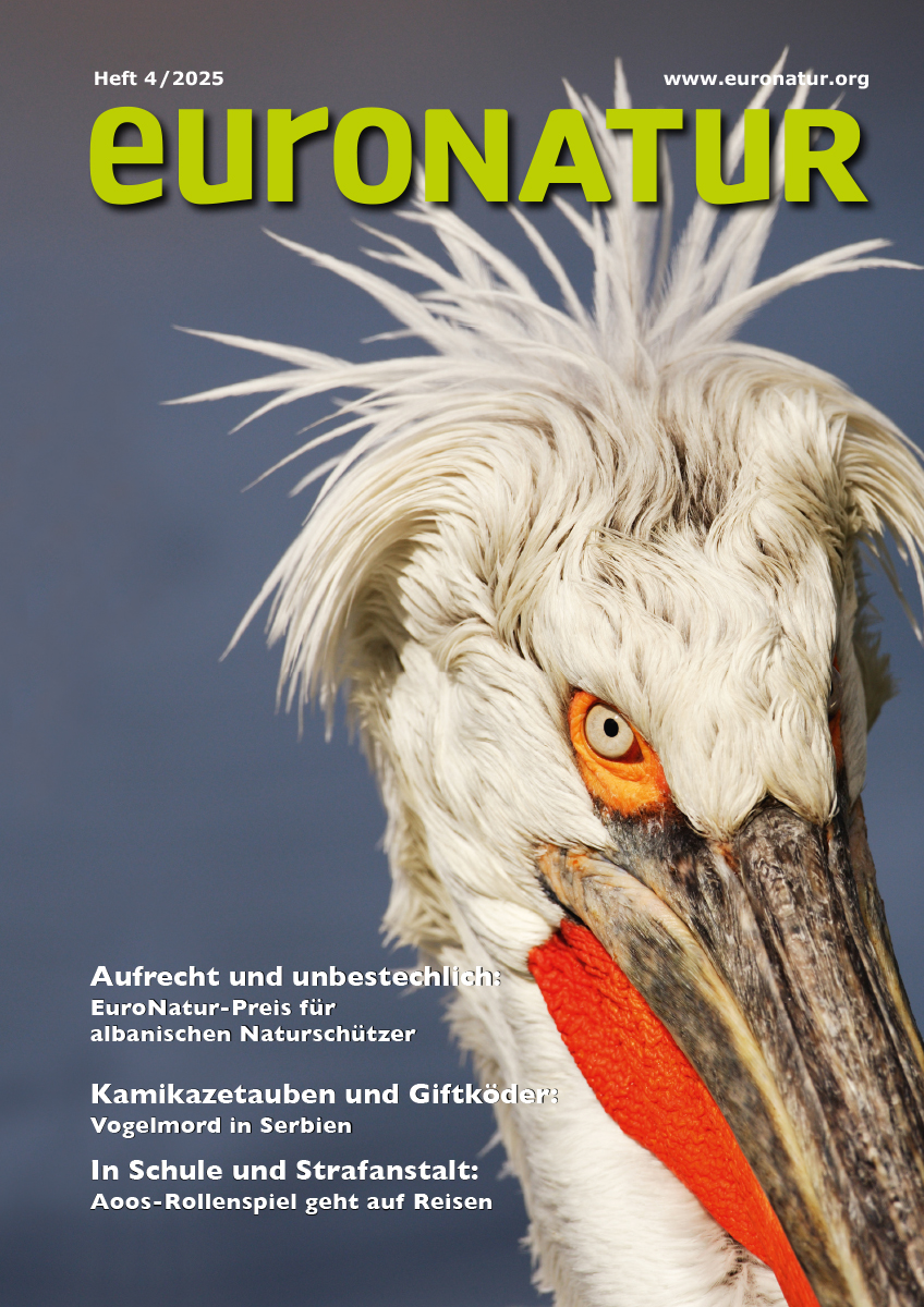 Titelseite des EuroNatur Magazin 4/2025