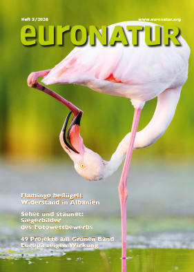 Titelblatt des EuroNatur Magazins 2026/3