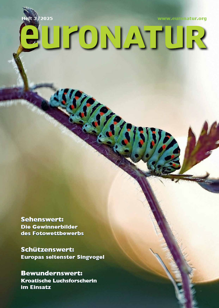 Titelseite des EuroNatur Magazin 2025/03
