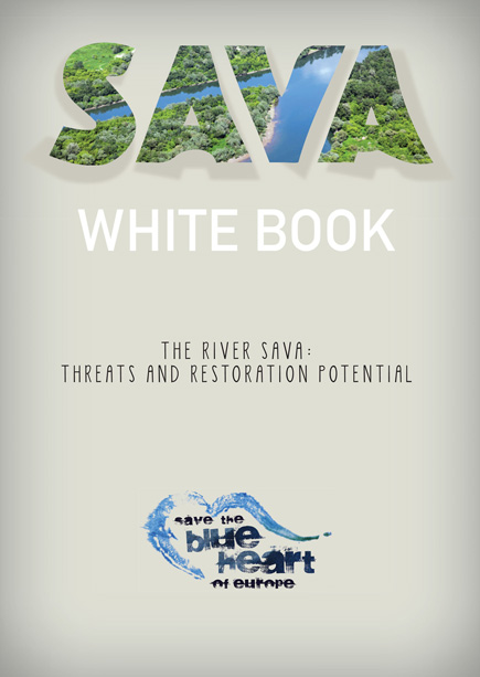 Titelblatt de Weißbuch Save