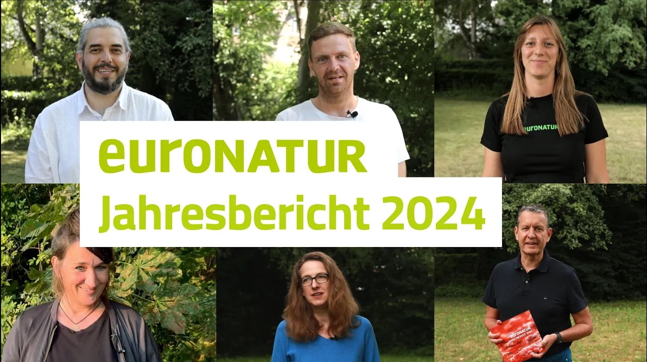 Startscreen für das Video zum Jahresbericht 2024