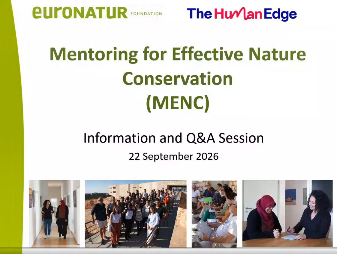 Start slide of the presentation on the mentoring programme