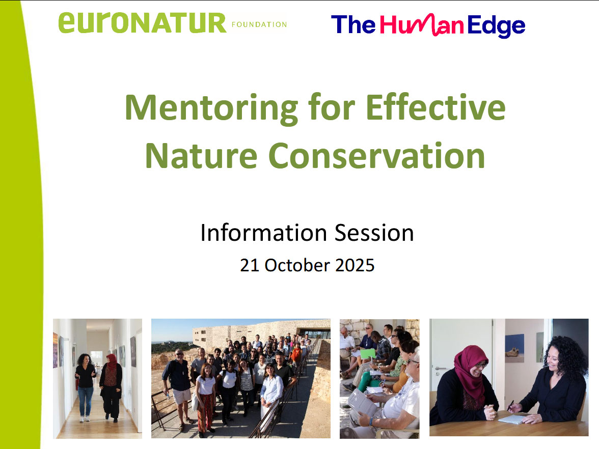 Mentoring Q&A Session 2025