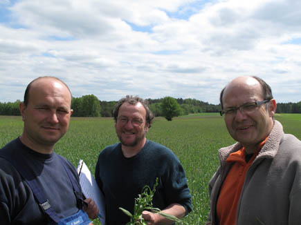 Der deutsche Anbauberater Dietmar Brand, der polnische Projektmitarbeiter Dr. Piotr Banaszuk und Landwirt Grzegorz Sokol in einem Feld mit Mischfruchtanbau.