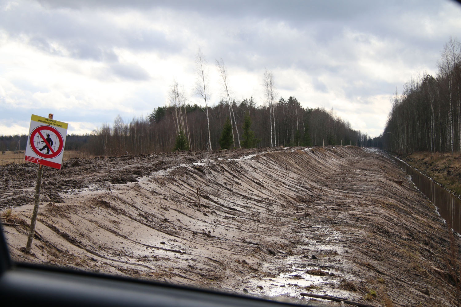 Logged forest area clear cut in Latvia