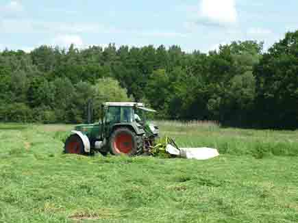 Traktor mäht Gras auf einer Wiese