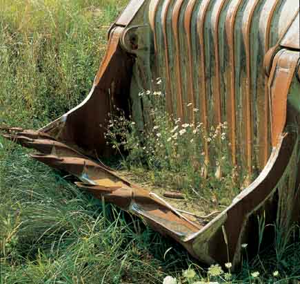 Alte, verrostete Baggerschaufel, in der Blumen wachsen